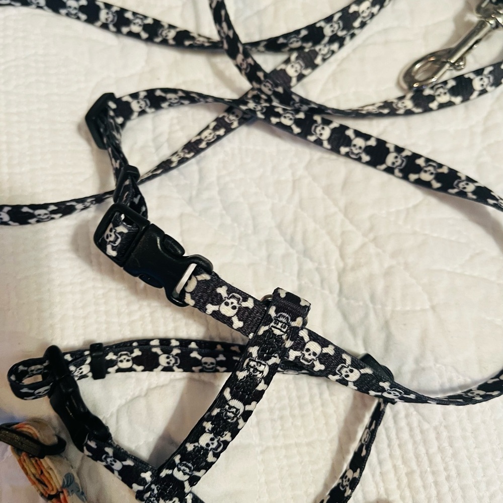 Cat Harness Leashes and Collar Set in Pink and Black - Picture 4 of 5